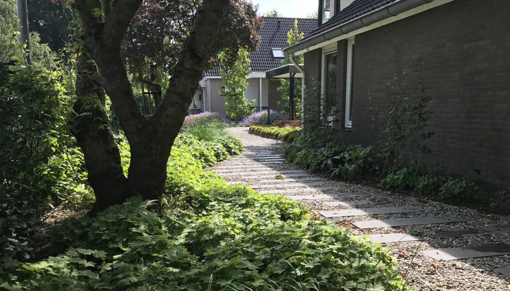 Strakke Groene Tuin Hooft Hoveniers